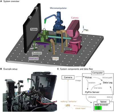 An Inexpensive, High-Precision, Modular Spherical Treadmill Setup Optimized for Drosophila Experiments